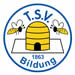 logo_tsv_bildung